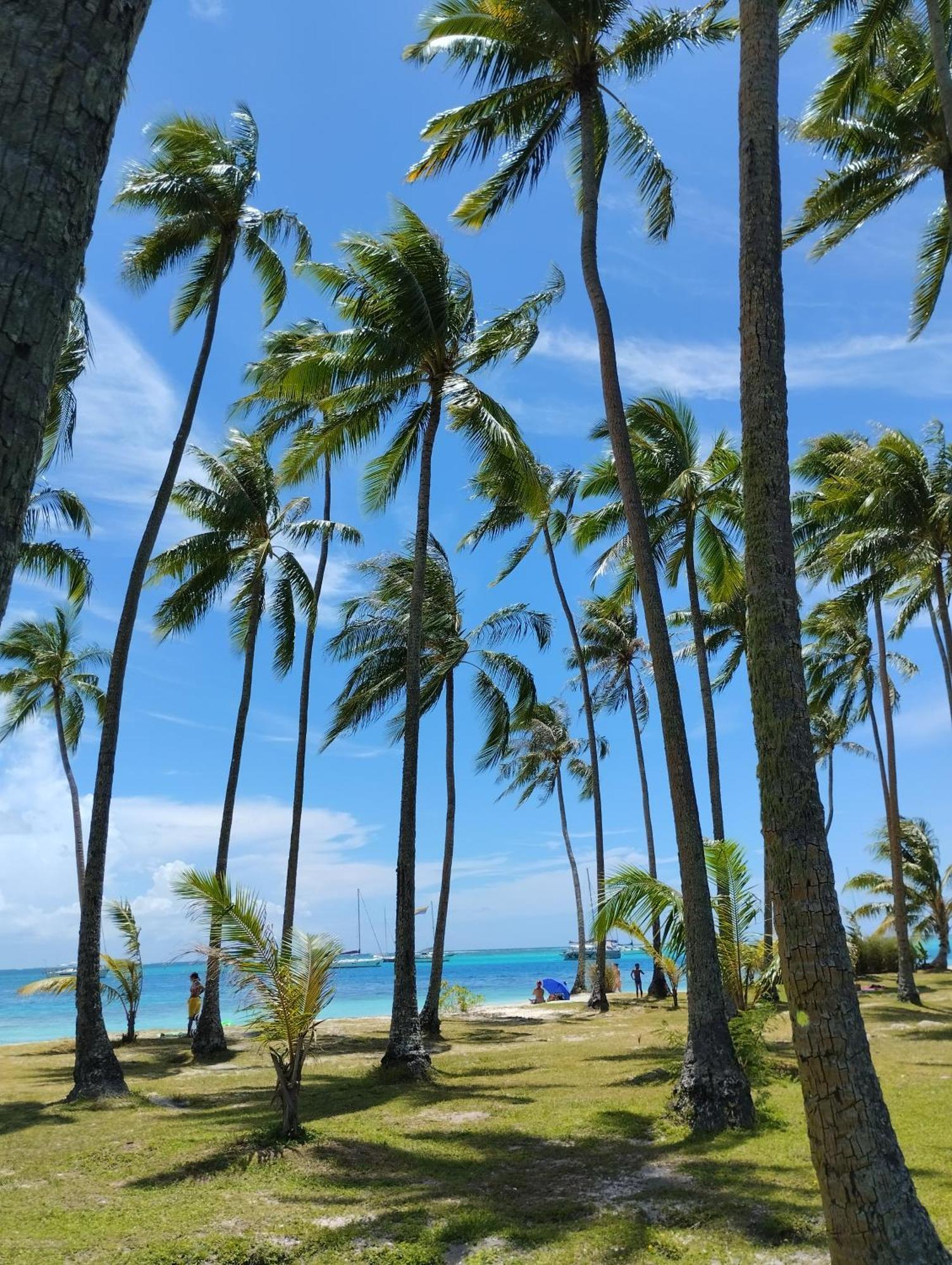 Tema'E Beach House Temae Kültér fotó